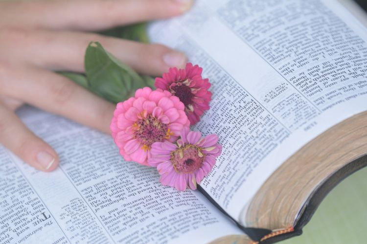 Avoimena oleva raamattu, jonka päällä punaisia kukkia ja käsi.