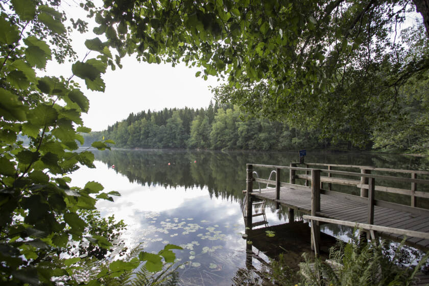 Poukaman leirikeskuksen ranta ja laituri.