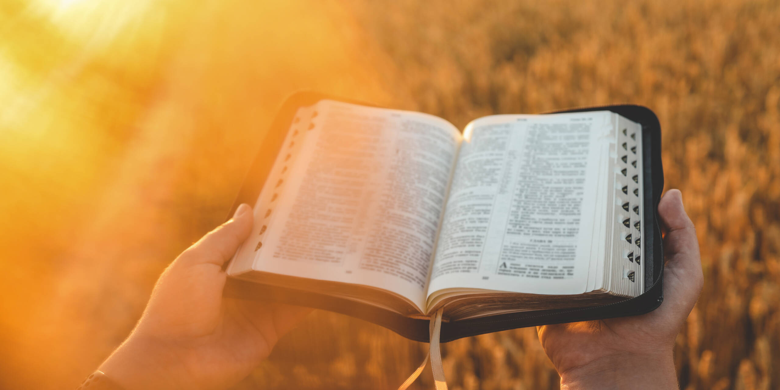 Woman holding a Bible, a natural field.