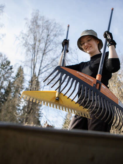 Kesätyöntekijä haravoi hautausmaata ja siirtää kuivia lehtiä kottikärryyn.