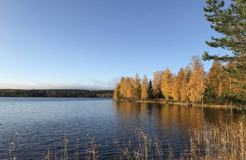 Rytkyn ranta syksyisenä päivänä.