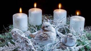 Neljä adventtikyntillää liekillä, somisteessa kolme lintua ja oksia.