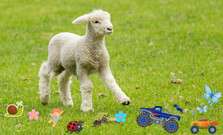 Lammas nurmella, jonka jalkojen kohdalla tarroja kukista ja eri tavaroista.