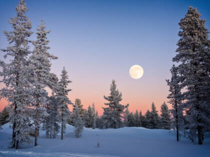 Iltahämärä talvisessa metsässä Lapissa, kuu on noussut taivaalle ja taivaanrannassa näkyy enää vähän punaista auringonkajoa.
