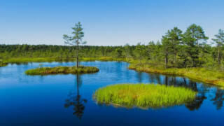 Järvimaisema