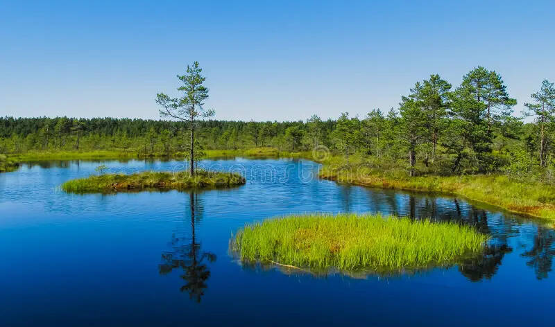 Järvimaisema